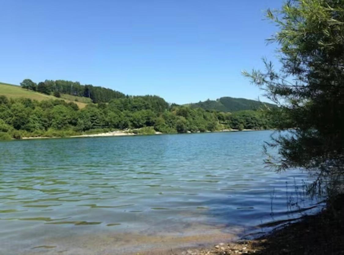 Henneliebe Am Hennesee メシェデ エクステリア 写真